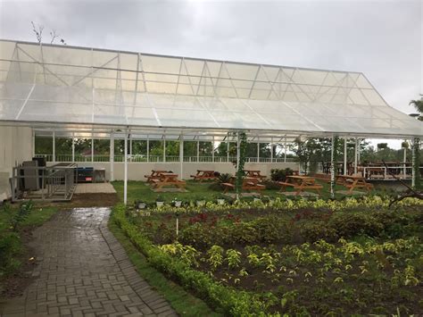 Bunga matahari adalah bunga nasional ukraina dan merupakan bunga resmi negara bagian kansas, amerika serikat. Warna-Warni Bunga di Alamanda Jogja Flowers Garden - Dinas ...