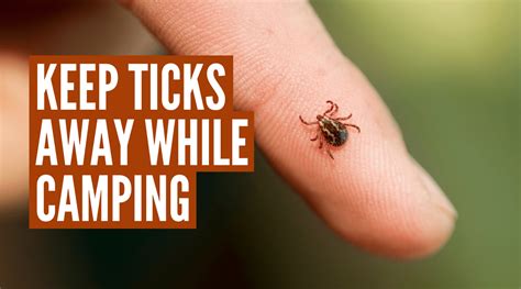 How To Keep Ticks Away While Camping 7 Pro Tips