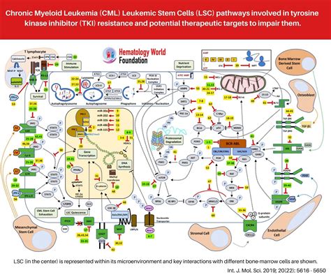 Have any of you (obviously highly likely) been diagnosed with cancer as a medical student, resident, or attending? Pin by Andres Sanchez on Oncology in 2020 (With images ...