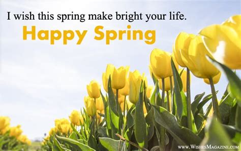 Happy Spring Wishes Happy Spring Day Messages