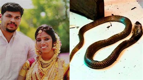 Breaking Uthra Murder Kerala Court Holds Husband Guilty Of Killing Wife Using Cobra