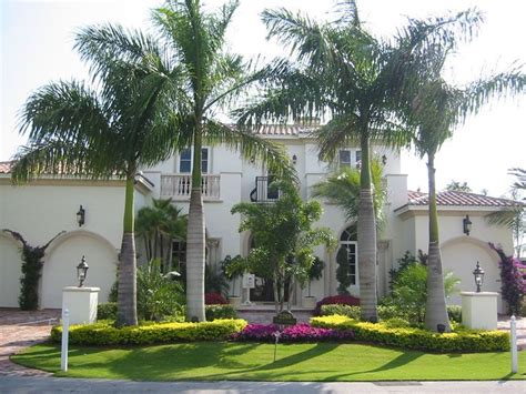 Palm Tree Landscaping Ideas Front Yard