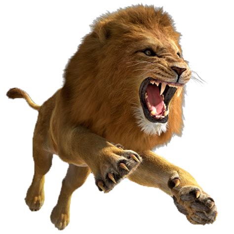 Lion Lion Png Hd Png Image With Transparent Background Png Free Png