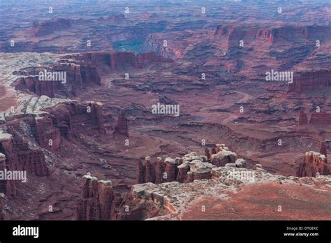 Monument Basin From White Rim Overlook At Dawn Canyonlands National