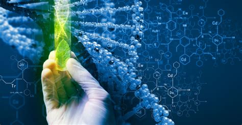 Plant Cell Biotechnology And Molecular Biology