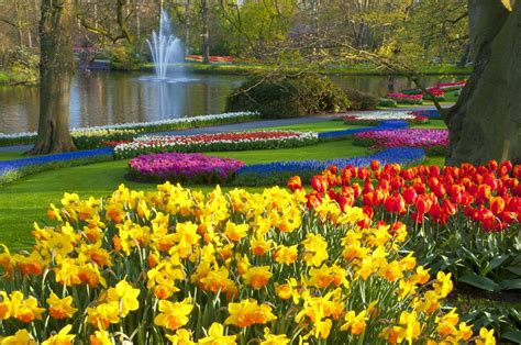 Top 10 Most Beautiful Flower Gardens