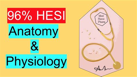 HESI Anatomy And Physiology HESI A2 Anatomy And Physiology YouTube