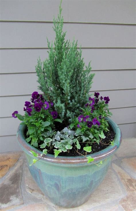 Winter Container Gardens Scotts Miracle Gro Winter Colors And Winter