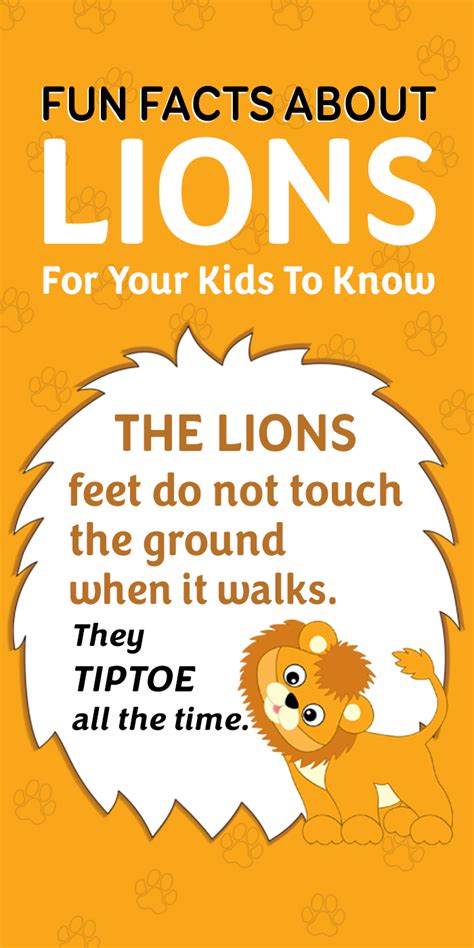 55 Interesting And Fun Lion Facts For Kids