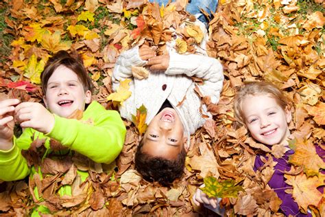 Children Playing In Autumn Leaves Wallpapers High Quality Download Free