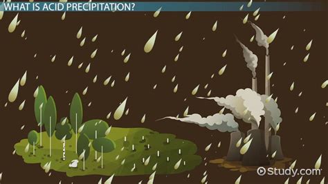Acid Precipitation Definition Causes Effects Video Lesson