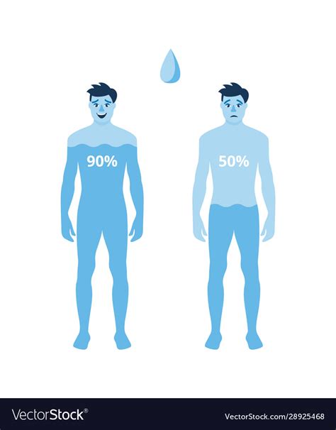 Human Body Hydration Level Poster Blue Cartoon Vector Image