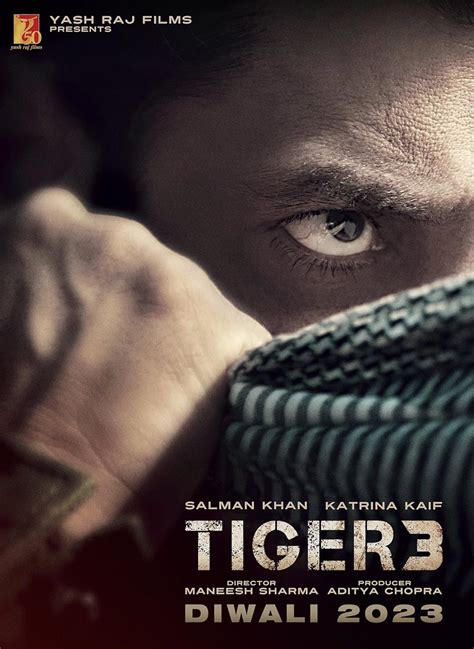 Tiger 3 2023 Imdb