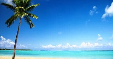 Huge collection, amazing choice, 100+ million high quality, affordable rf and rm images. Relax with a Tropical Island Cruise | Flight Centre