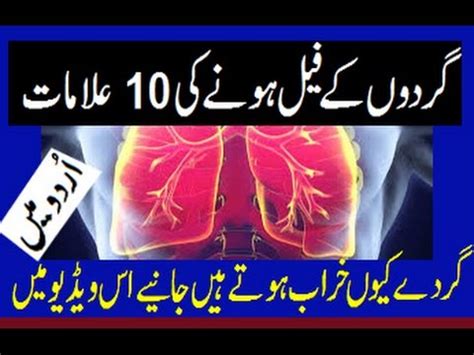 Mass gainer supplements in karachi, body buildo side effects in urdu, motapa badhane ki medicine, homeopathic. Kidney K Dard Ki Alamat In Urdu - Kidney Failure Disease