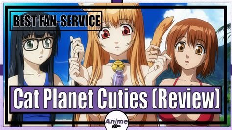 Cat Planet Cuties Anime Review Take It Back Youtube