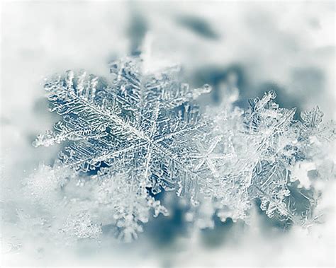 White Snowflake Closeup In Snow Photograph By Lynn Langmade Pixels