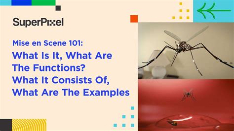 Mise En Scene 101 What Is It The Elements And Examples Superpixel