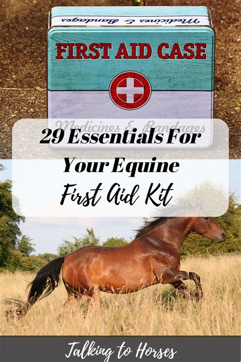 Having An Equine First Aid Kit Is A Necessity When You Own A Horse