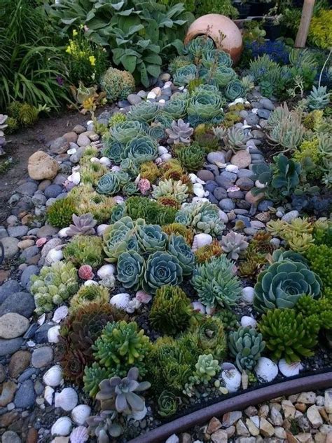 Pin By Czanetti On Rock Garden Ideas Make Your Yard Beautiful