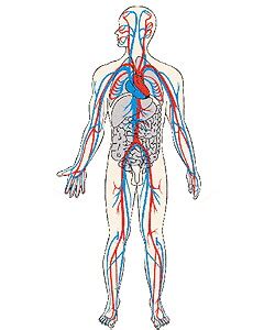 We are exploring cutting edge treatments for morgellons. Menschliche Symptome von Würmern