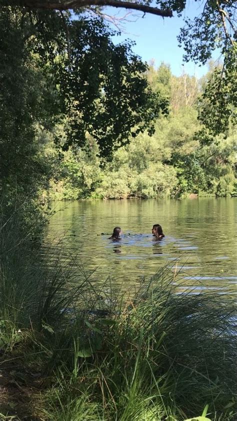 Two People Swimming In A Lake Surrounded By Trees And Grass With One
