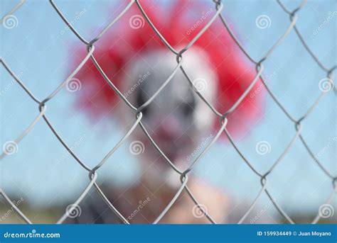 Scary Clown Behind A Fence Stock Image Image Of Costume 159934449