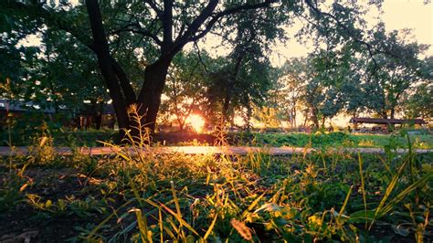 Trova immagini stock hd a tema paesaggio estivo soleggiato. Top Sfondo Parco - sfondo