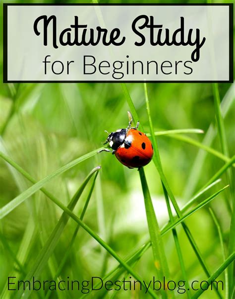 Nature Study For Beginners Heart And Soul Homeschooling