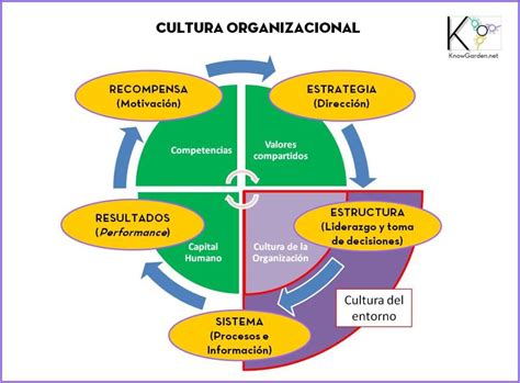 Cultura Cultura Organizacional Y Gesti N Del Conocimiento Gesti N