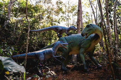 Parque Dos Dinossauros De Miguel Pereira Abrirá As Portas Em Outubro