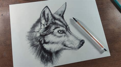 Como Dibujar Un Lobo Realista Facil Theneave