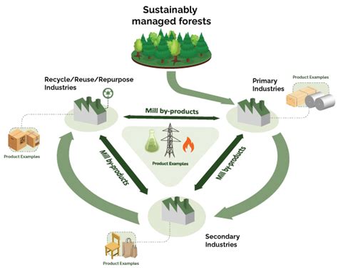 Forest Biomass Action Plan Ontarioca