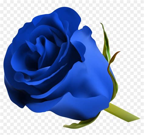 Blue Roses Art Images Clip Art Pictures Free Beautiful Blue