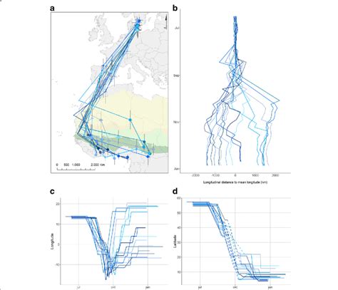 Migration Of Willow Warblers From Breeding To Wintering Grounds