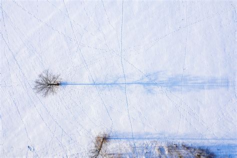 beautiful aerial view of the huge frozen lake in the middle of a forest in latvia frozen ungurs