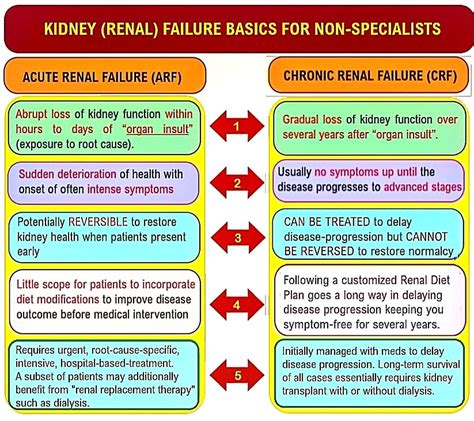 Acute Kidney Injury Aki All Things Kidney Official