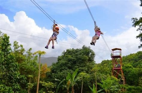 The fat can be metabolised for energy. Rainforest Zipline Experience - Rio Grande | Project ...