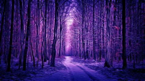 Path Between Purple Trees Forest HD Nature Wallpapers | HD Wallpapers ...