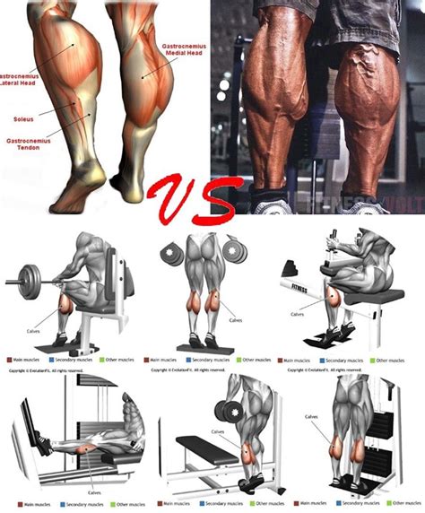 Build Strong And Big Calves With This Workout And The Most Powerful Bulking Stack Calf