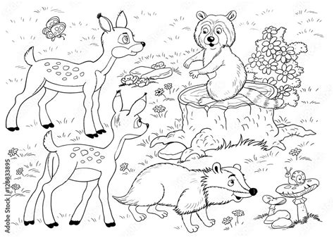 Woodland Coloring Pages For Adults