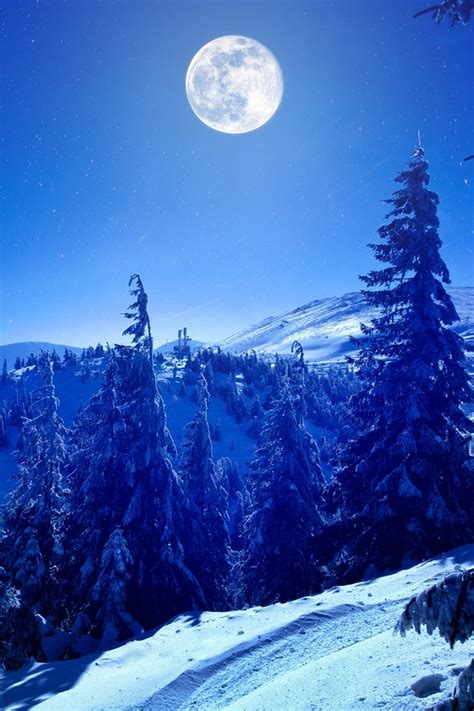 1080x1620 Full Moon Over Winter Forest 1080x1620 Resolution Wallpaper