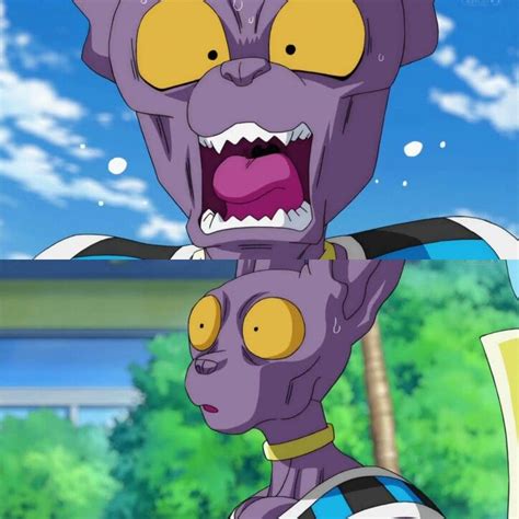 Satan getting hammered on booze and trying to challenge beerus. 320 best images about Beerus on Pinterest | Trunks ...