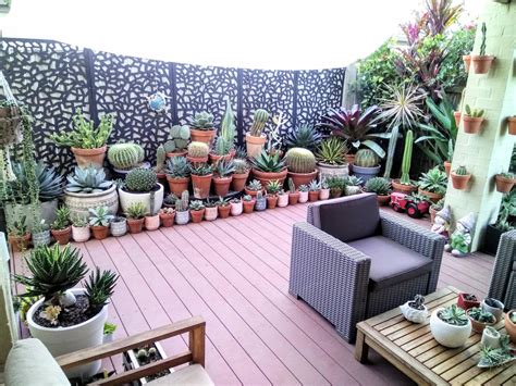 Tried To Organize My Patio Cactussucculent Garden Oddlysatisfying