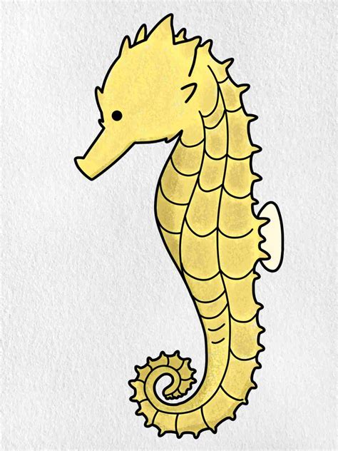 How To Draw A Seahorse For Kids Step By Step Drawing