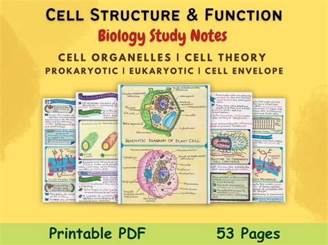 Cell Structure Organelles And Function Eukaryotic Cell And Prokaryotic Cell Biology High School