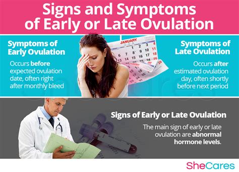 Oligoovulation Irregular Ovulation Shecares