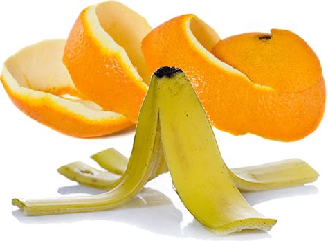 Fruits Peel Especially Orange Peel And Banana Peel Banana Peel And