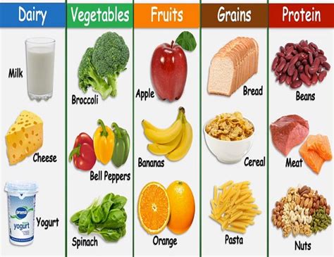 Dairy Vegetables Fruits Grains Protein Jakeira493 Photo 44456697