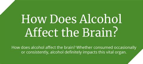 How Does Alcohol Affect The Brain Our Infographic Has The Answers